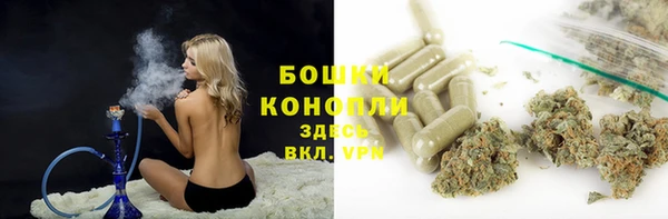стаф Снежногорск