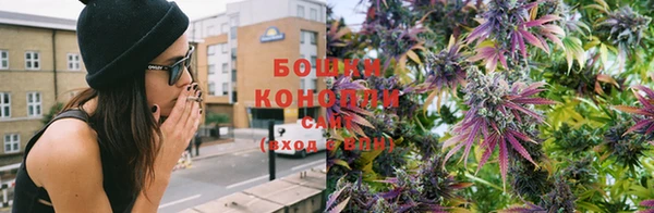 стаф Снежногорск
