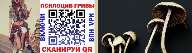 Галлюциногенные грибы прущие грибы blacksprut как войти Снежинск